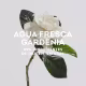 Agua Fresca de Gardênia Musk Adolfo Dominguez Eau de Toilette - Perfume Feminino 120ml (7)