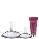 Conjunto Euphoria Calvin Klein Feminino - Eau de Parfum 100ml + Loção Corporal 100ml + Eau de Parfum 30ml (3)