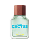 Green Cactus for Him United Dreams Benetton Eau de Toilette - Perfume Masculino 100ml (1)