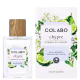 Chypre Bergamot & Coriander Colabo Eau de Parfum - Perfume Unissex 100ml (3)