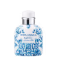 Light Blue Summer Vibes Dolce & Gabbana Eau de Toilette - Perfume Masculino 75ml (4)
