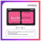 Catrice Blush Affair 020 Pleasing Pink - Paleta de Blush 6g (10)