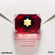 Signature Elixir Montblanc Eau de Parfum - Perfume Feminino 90ml (9)