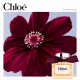 Chloé Parfum - Perfume Feminino 100ml (4)