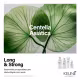 Keune Long & Strong - Shampoo 1L (3)