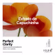 Keune Perfect Clarity - Esfoliante Capilar 35ml (2)