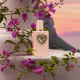 My Devotion Dolce & Gabbana Eau de Parfum Intense - Perfume Feminino 30ml (4)