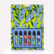 Conjunto Phebo Experimentação Colônias Origens (6 Produtos) (2)