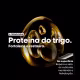 L'Oréal Professionnel Serie Expert Absolut Repair Omega-9 + Protein - Condicionador  1L (7)