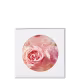 Sparkling Rose Etleé Eau de Parfum - Perfume Feminino 10ml (3)