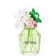 Daisy Wild Marc Jacobs Eau de Parfum - Perfume Feminino 100ml (1)