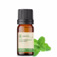 Óleo Essencial Peppermint - puro 10 ML Aroom Health (2)