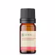 Óleo Essencial Wintergreen - puro 10 ML Aroom Health (1)