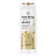 Kit Molecular Bond Repair Completo 5 Itens | Pantene (5)