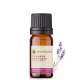 Óleo essencial puro natural de Lavanda Francesa – 10 ml (2)