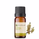 Óleo essencial puro natural de Litsea Cubeba – 10 ml (2)