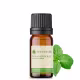 Óleo essencial puro natural de Manjericão – 10 ml (2)