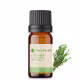 Óleo essencial puro natural de Tomilho – 10 ml (2)
