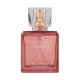 Perfume Feminino Ana Hickmann by Giverny Mademoiselle 100ml (1)