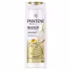 Shampoo Reparador Pantene Pro-V Science Molecular Bond Repair 300ml (1)