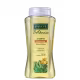 Payot Botânico Calêndula e Aloe Vera - Shampoo 300ml (1)