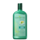 Farmaervas Algas, Menta e Arnica - Shampoo 320ml (1)