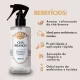 Odorizante De Ambientes E Tecidos Coala Home Chá Branco 260ml (2)