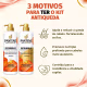 Kit Pantene Pro-v Miracles Biotinamina B3: Shampoo e Condicionador 510ml (4)