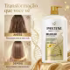 Condicionador Pantene Pro-V Molecular Bond Repair 1L (5)