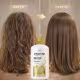 Shampoo Pantene Pro-V Molecular Bond Repair 1L (4)