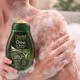 Sabonete Líquido Muriel Óleo De Banho Glicerinado Pistache Com Colágeno 230ml (3)