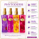 Kit Presente Phytoderm Deo Colônia: Intense Love, Sexy Girl, Pure Secret e Vanilla Kiss 200ml (2)