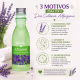 Kit Phytoderm Alfazema: 3 Águas Perfumadas Deo Colônia 250ml (5)