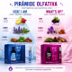 Kit Phytoderm Parfum 95ml + 30ml: Here I Am e What's Up (4)