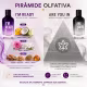 Kit Phytoderm Parfum: Ready e Are you in 95ml (4)