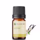 Óleo essencial puro natural de Vanilla/Baunilha a 10% - 5 ml (2)