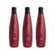 Aneethun Force Kit 3 Shampoo Fortalecedor 300ml (5)