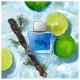 Blue Seduction Banderas Eau de Toilette - Perfume Masculino 50ml (5)