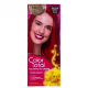 Kit Salon Line Color Total 66.64 Vermelho Glamour - Coloração Permanente (1)