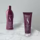 Kit Senscience True Hue Violet Shampoo Condicionador Máscara Moisturizing Leave-in (4 produtos) (4)