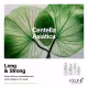 Kit Keune Long & Strong - Crescimento e Densidade (3 Produtos) (5)