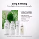 Kit Keune Long & Strong - Antiqueda e Crescimento (3 Produtos) (4)