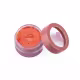Soft Blush Tulipa Trezz 5g (3)
