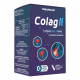 Suplemento Alimentar Colag II Natunéctar 60 Cápsulas (1)