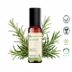 Blend óleo essencial Alecrim Roll - on 10 ml - Fórmula Exclusiva (4)