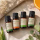 Kit 4 óleos essenciais – Laranja Doce, Bergamota, Lemongrass e Eucalipto Globulus - 5 ml cada (3)
