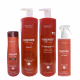 Kit Arvensis Professional Cachos Naturais - Shampoo 1L + Ativador De Cachos 1L + Co-Wash 300ml + Day After 250ml (1)