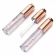 Lip Gloss Cristal Magico Vivai Reage Com Ph Transparente (2)