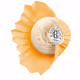 Roger & Gallet Néroli Savon - Sabonete Perfumado 100g (3)