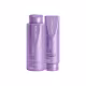 Kit Aneethun Blond 360 Matizador Shampoo 300g + Máscara Cinza 250g (1)